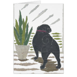 Mops