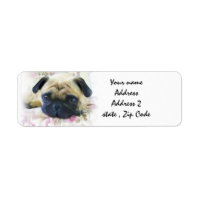 Mops