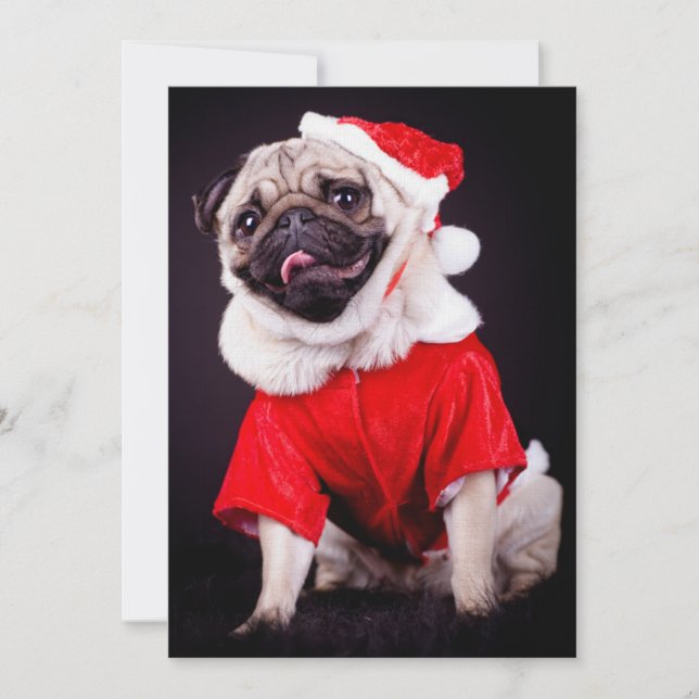 Mops (Vorderseite)
