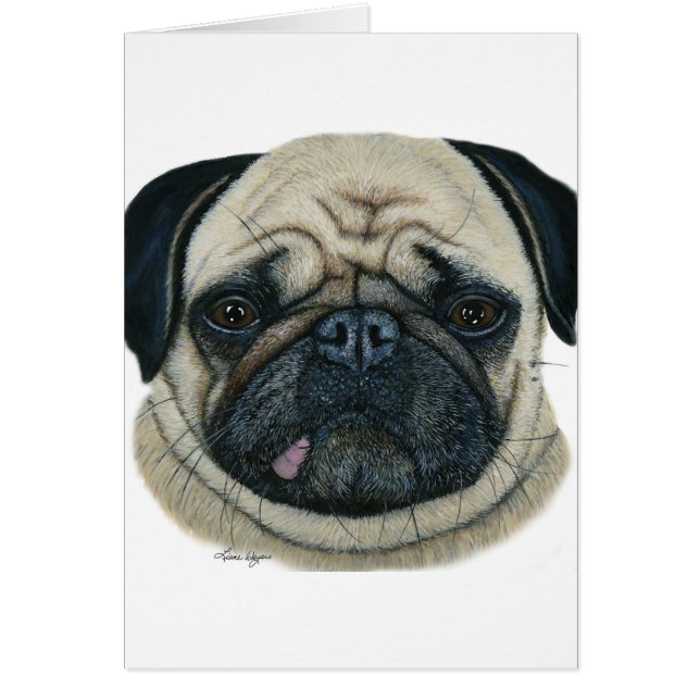 Mops (Vorne)
