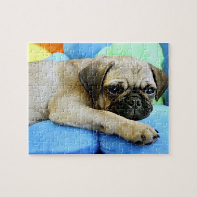 Mops auf Kissen Puzzle (Horizontal)
