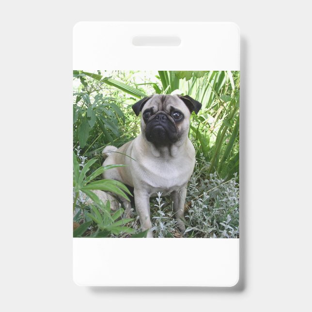 Mops Ausweis (Vorderseite)