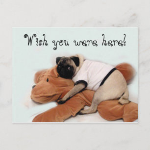 Mops Blues Postkarte