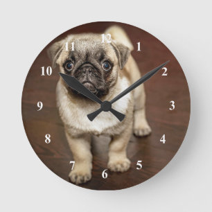 Mops Brown Dog Foto Runde Wanduhr