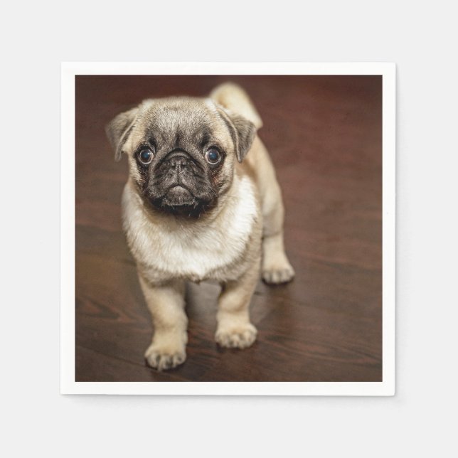 Mops Brown Dog Foto Serviette (Vorderseite)