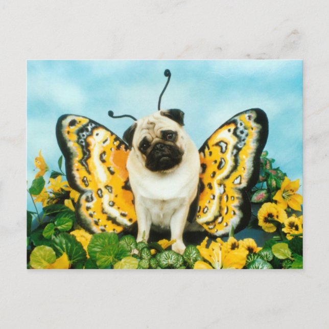 Mops Butterfly Postcard Postkarte (Vorderseite)