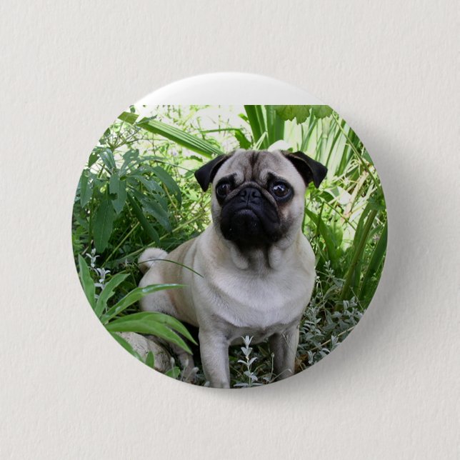 Mops Button (Vorderseite)