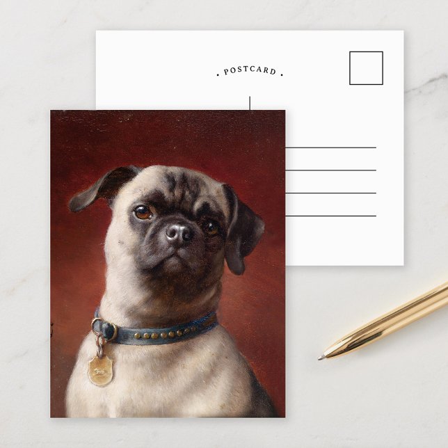 Mops | Carl Reichert Postkarte (Von Creator hochgeladen)