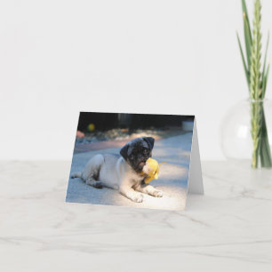 Mops-CD Feiertagskarte