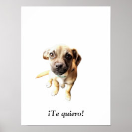 Mops Chihuahua ¡Te quiero! Welpenhund Poster