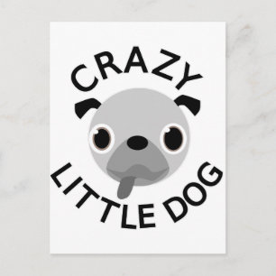 Mops Crazy Little Dog Postkarte