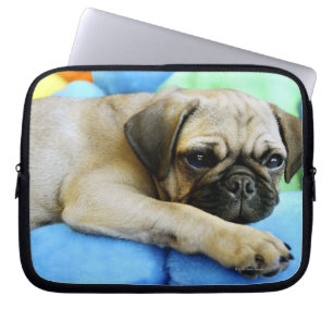 Mops, der auf Kissen legt Laptopschutzhülle