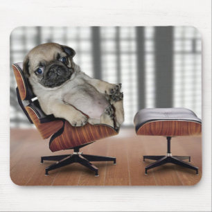 Mops, der in einem Reclinerstuhl kühlt Mousepad