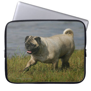 Mops, der nahe Wasser spielt Laptopschutzhülle