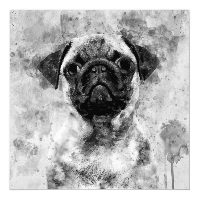 Mops Dog Black and White Watercolor 01 Fotodruck (Vorne)