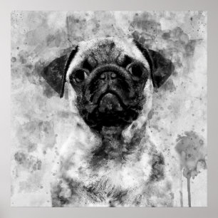 Mops Dog Black and White Watercolor 01 Poster