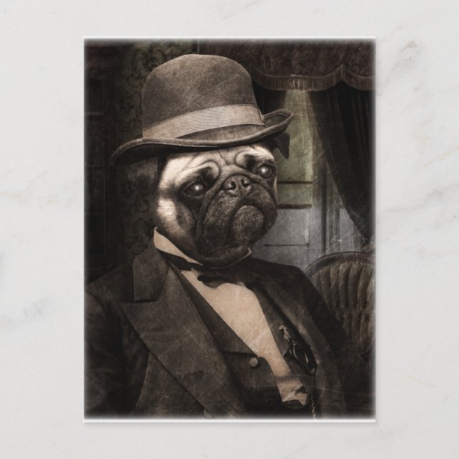 Mops Dog Dapper Gent Postkarte (Vorderseite)