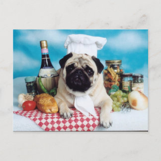 Mops Dog Koch Postkarte