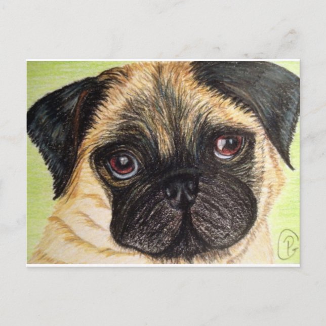 Mops Dog Postkarte (Vorderseite)
