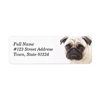Mops Dog Rücksendeadresse Mailing Label