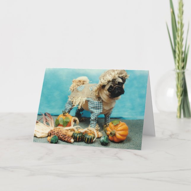 Mops Dog Scarecrow Karte (Vorderseite)