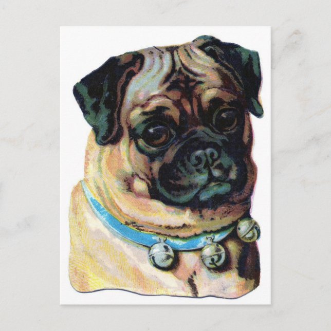 Mops Dog Vintag Postkarte (Vorderseite)