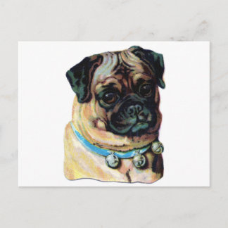 Mops Dog Vintag Postkarte