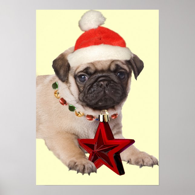 Mops Ein Weihnachtsstern drucken Poster (Vorne)