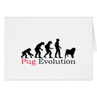 Mops-Evolution