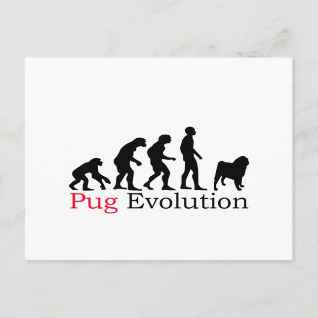 Mops Evolution Postkarte (Vorderseite)