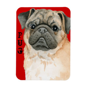Mops-Farbblock Magnet