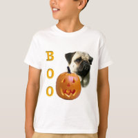 Mops (fawn) Boo