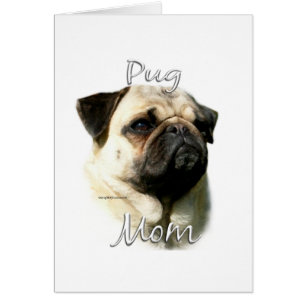 Mops (fawn) Mama 2