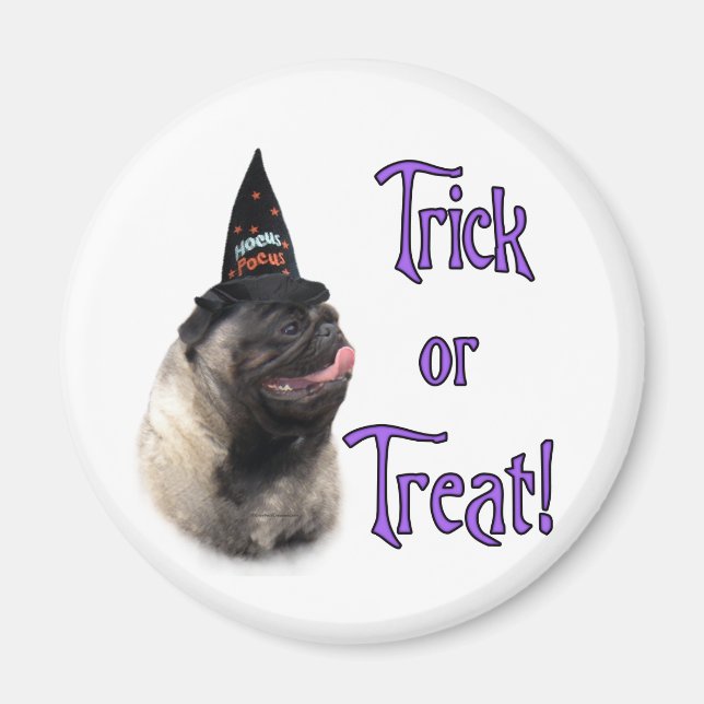 Mops (fawn) Trick Magnet (Vorne)
