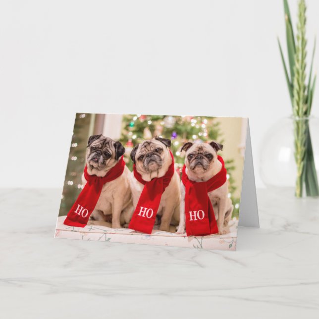 Mops-Feiertags-/Weihnachtskarte. Minnie, maximal Feiertagskarte (Vorderseite)