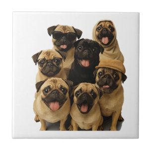 Mops Fliese