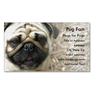 Mops Foto - Magnet Business Card