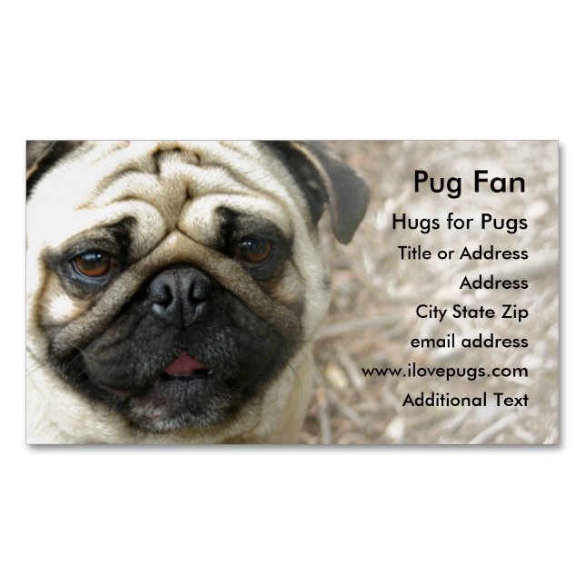 Mops Foto - Magnet Business Card (Vorderseite)