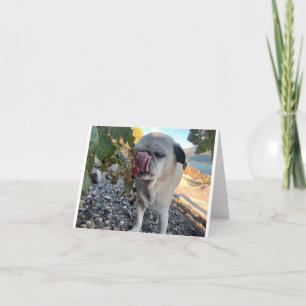 Mops Geburtstag lustig Karte