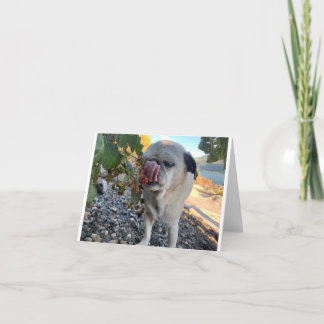 Mops Geburtstag lustig Karte