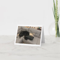 Mops Geburtstagskarte lustig