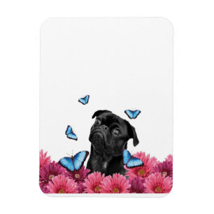 Mops Gerbera Butterflies Niedlicher Schwarzhund Magnet