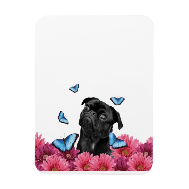 Mops Gerbera Butterflies | Niedlicher Schwarzhund Magnet (Vertikal)