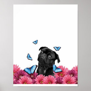 Mops Gerbera Butterflies   Niedlicher Schwarzhund Poster