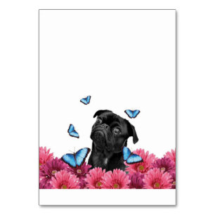 Mops Gerbera Butterflies   Niedlicher Schwarzhund Tischnummer