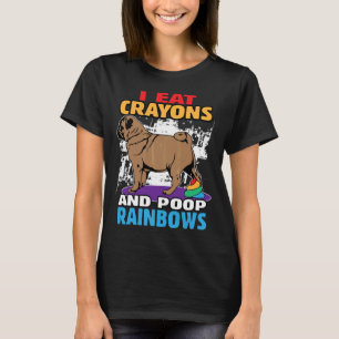 Mops Geschenk Ich Esse Buntstifte Und Kacke Regenb T-Shirt