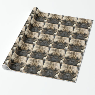 Mops Geschenkpapier