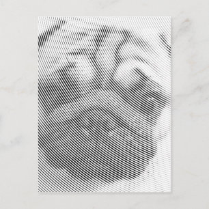 Mops-Gesicht Postkarte