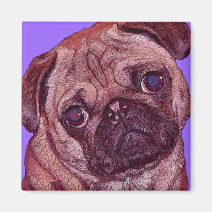 Mops-Gesichts-Magnet Magnet