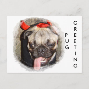 Mops Gruß Postkarte